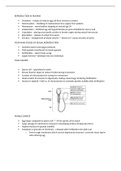 IGCSE Biology Theory Unit 3 Full Class Notes