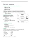 College samenvatting Stofwisseling en spijsvertering