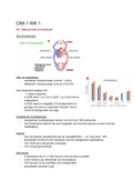 CMI-1 alle college aantekeningen week 1 t/m 4