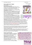 E-module samenvatting HH