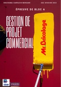 Dossier 30 pages: Gestion de projet commercial