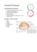 Neurobiologie Overzicht Processen/Stappenplannen