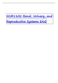 Exam (elaborations) NUR1102 Renal, Urinary, and Reproductive Systems E AQ2022