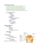 Class notes Anatomy & Physiology (KAAP309) 