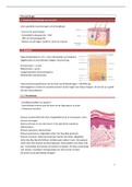 Samenvatting  Dermatologie - 2e master tandheelkunde