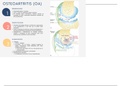 Osteoartrosis/Osteoartritis/Artrosis