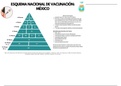 Esquema Nacional de Vacunación