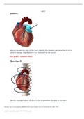 BIOD 152/A & P 2 Lab 3 Exam Portage Learning...Questions and Answers...A+ (5 Best Versions)