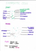 Eukaryotic cells