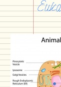 Eukaryotic cells