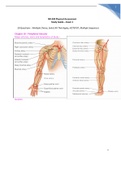 NR-304 Physical Assessment Study Guide – Exam 1 Updated