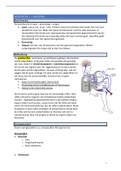 Volledige samenvatting NEUROANATOMIE! Belangrijke begrippen en TWIOS voor het examen zijn aangeduid - 2e bachelor diergeneeskunde UAntwerpen