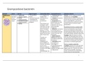 TABEL met ALLE BACTERIËN & VIRUSSEN! - 17/20 gehaald -  MICROBIOLOGIE 3e bachelor diergeneeskunde UAntwerpen. Leert heel handig voor het examen!