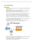 Introduction to Biology 110 Notes