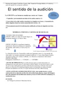 Resúmen: Fisiología de la audición y sensaciones vestibulares