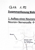 Biologie Zusammenfassung Klausur (Neuronen)