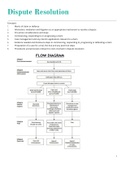 Dispute Resolution for SQE1 FLK1