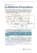 El Sistema de Endomembranas: el transporte dentro y fuera de la célula - Biología Celular