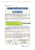 Composición química de las células: las Biomoléculas - Biología Celular 