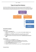 Summarises the types of LTM and includes evaluation and supporting studies