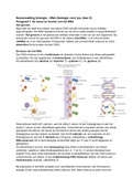 Samenvatting biologie, DNA, VWO 5