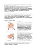 Samenvatting biologie, Regeling en Waarneming, VWO 5