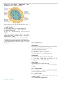 Pancreatic Hormones, Antidiabetic Agents, & Glucagon