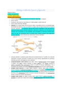 ANATOMIA DE MMSS Y MMII