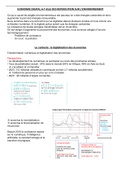 P.E.C - Chapitre 5 "Économie Digitale" - S1L1