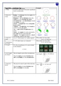 Circumference-and-Area.docx