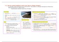 OCR A Level Geography Coastal Landscapes Summary - 3a (Emergent coastal landscapes form as sea level falls - How landforms in emergent landscapes are influenced by falling sea levels due to a cooling climate)