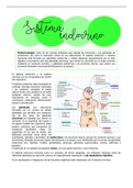 Apuntes Anatomía Patológica y Citodiagnóstico 