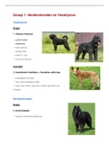 Samenvatting Honden rassen 