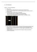 L8 - DNA Replication