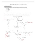 Drug Metabolism Question Practice