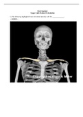 BIOLOGY 24011 13 Upper limb Skeletal Articulation Answer Key