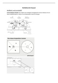 Samenvatting Bedrijfskunde Integraal, ISBN: 9789001575564  PDIB02 Bedrijfskunde Integraal  (PDIB02)