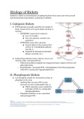 Physiology of Rickets