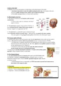 Neurology Bundle