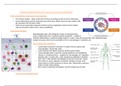 First Class Lecture notes Cancer Biology (DNA and Disease) 