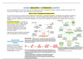 First Class Lecture notes Dynamic Cell Module 