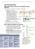 First Class Lecture notes Dynamic Cell Module 