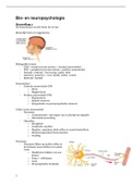 Samenvatting Bio- En Neuropsychologie Psychologie