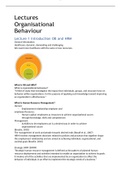 Samenvatting Organizational Behaviour International Business Administration