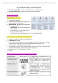 Samenvatting  Anorganische Chemie / Algemene Chemie