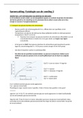 Samenvatting fysiologie van de voeding 2: Stefaan De Henauw