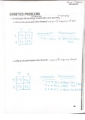 Genetic Problems Worksheet  -Exam Help-