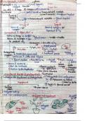 Class notes NEET  NCERT Biology 