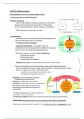 Samenvatting milieu-economie