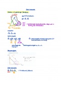 Euler-Kinematik